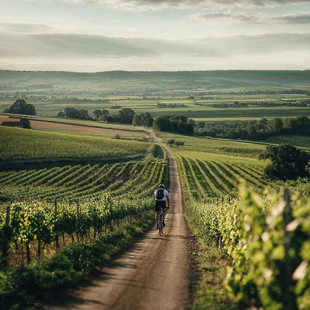 Falkensteiner Balance Resort Stegersbach - Adults Only エクステリア 写真 Vineyards in the Moselle region