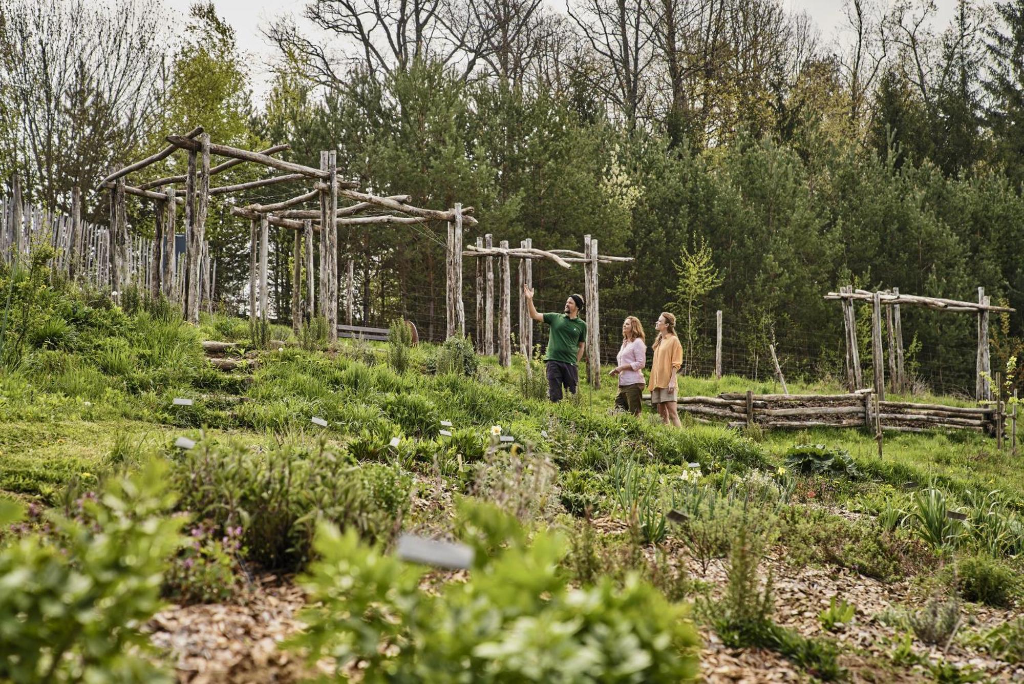 Falkensteiner Balance Resort Stegersbach - Adults Only エクステリア 写真 The Native American Garden